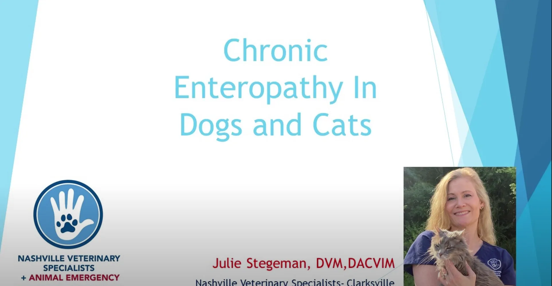 Chronic Enteropathy in Dogs and Cats Video at NVS